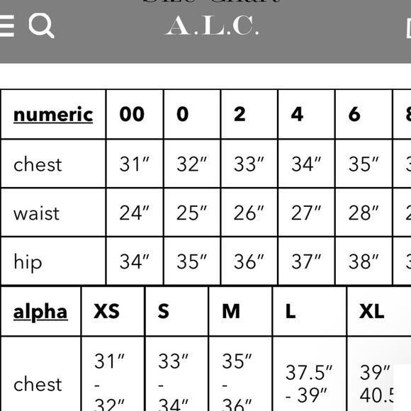 A.L.C Women’s Dakota Oversized Jacket in Maillot Sz 2 NWT - Picture 9 of 9